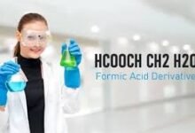 HCOOCH CH2 H2O